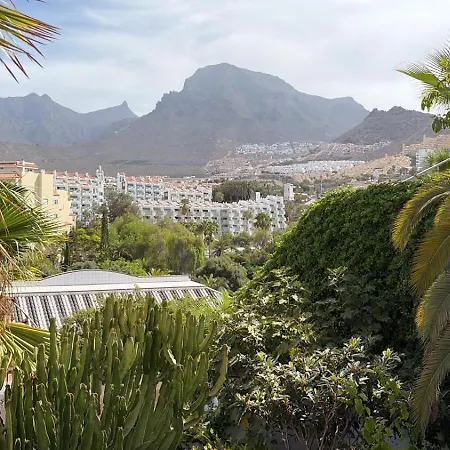 Playa Paraiso Апартаменты Адехе